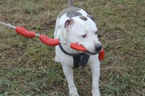 ������� ����� � ��������� �������