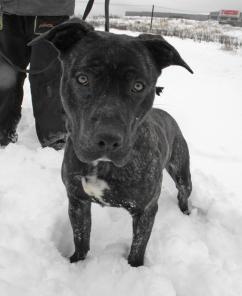 �������� ����� ��������