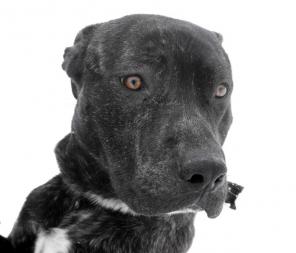 �������� ����� ��������