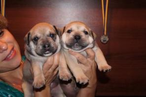 ����� �� �� �����!