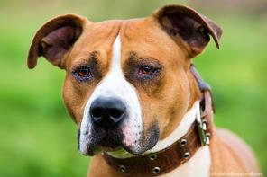 �������� ����� �������