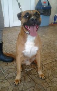 ������� ����������