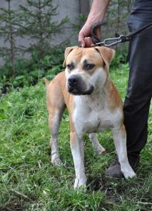 ������� ������� �������� ������