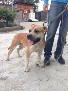 ������� ������� �������� ������