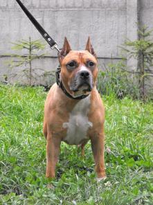 ������� ������ ������