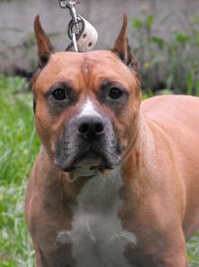 ������� ������ ������