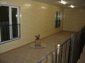 Зоогостиница "Звездная" - МО, Выхино, Люберцы