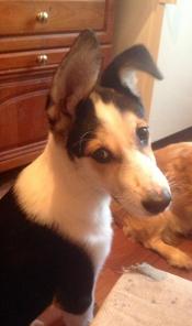 �������� � 4 ���. � ���!