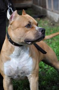 ������� �������� ������