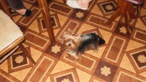 ������ ����������� ������