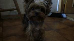 ������ ����������� ������