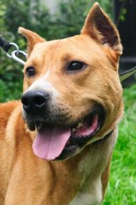 ��������� ������� ��� ���������� ��������