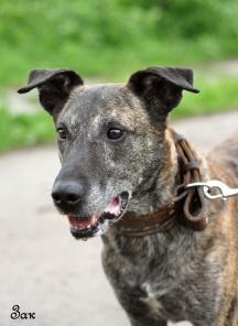 ��� ��������� ������