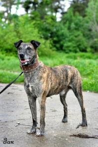 ��� ��������� ������