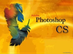  Photoshop, Corel Draw (, )