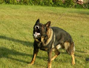 ��������� ����� �������� ������� ������ � ����� ��������