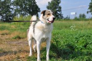 �������, ������� � ������ ���