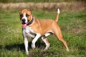 ����� �������� � ������