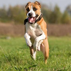 ����� �������� � ������