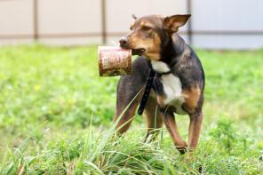 Бесценная Лора в дар хорошим людям