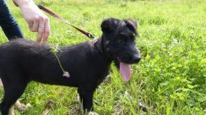 ��������� ���� ���� ��� - 3 ������