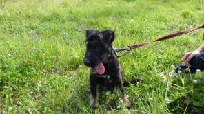 ��������� ���� ���� ��� - 3 ������