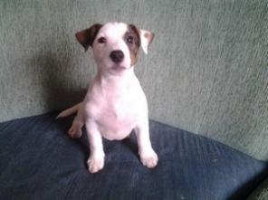 2 �������� ���� ������ ������ �� ��������� ���