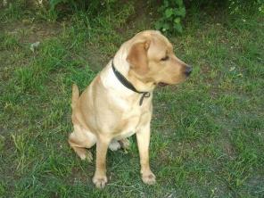 �������� ��������� ������� ��� � �����