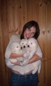 ������ ������  �������-�������� �������