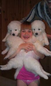 ������ ������  �������-�������� �������