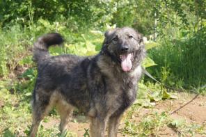 ���� ������ ���� ����� ����!