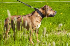 ��������� ������� ��������� ������