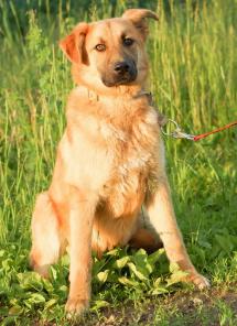 �������� ��������� ��� ����� ���� �����