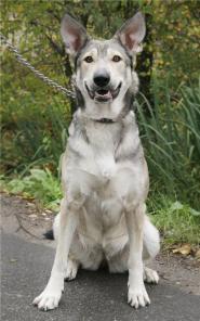 �������� ���� ������� � ����� ����.