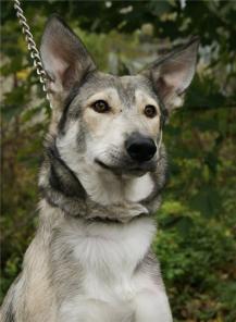 �������� ���� ������� � ����� ����.