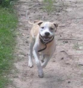 ������� 9 ������� ���� �������� ���������