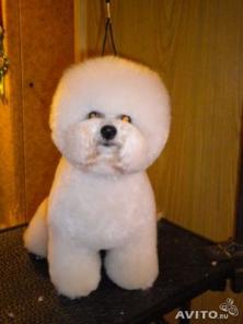 ����� �����