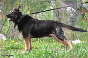 ����,  ������ ������������������� ������� � ���