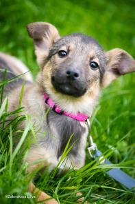 �����, 2,5 ������ � ������ ����!