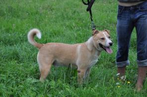 �������, ��������, �������� ����� ������