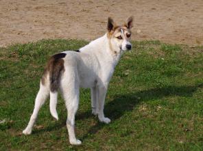 ����������� �����