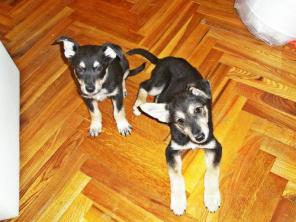 ���� � ���� ���� ���������� �����.