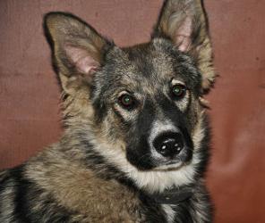 ������� �������� ����� � ������ ����!