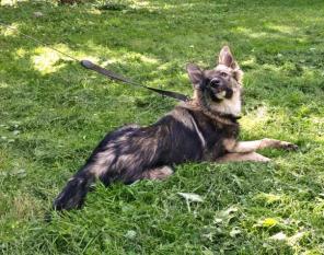 ������� �������� ����� � ������ ����!