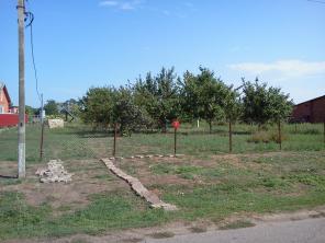 ������ ������� 16 ���. ��� ��� � ����� ����� ����������.