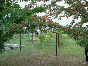 ������ ������� 16 ���. ��� ��� � ����� ����� ����������.