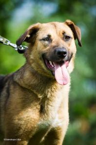 ���� ����� ���� ���� ��������, � ������ - ��������� ������!? ����� - � ���!