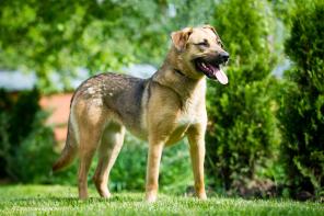 ���� ����� ���� ���� ��������, � ������ - ��������� ������!? ����� - � ���!