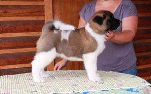 ����� ������������ �����, � ��� �����������