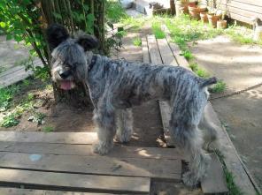 ������� ������